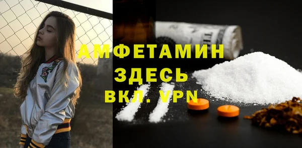 амф Ладушкин