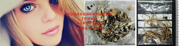стафф Лабытнанги