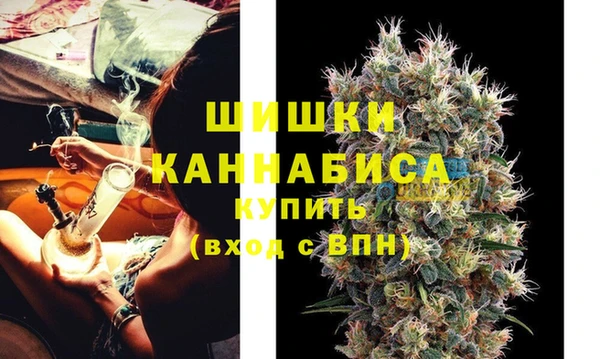 амф Ладушкин