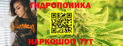 spice Гай