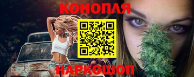 spice Гай