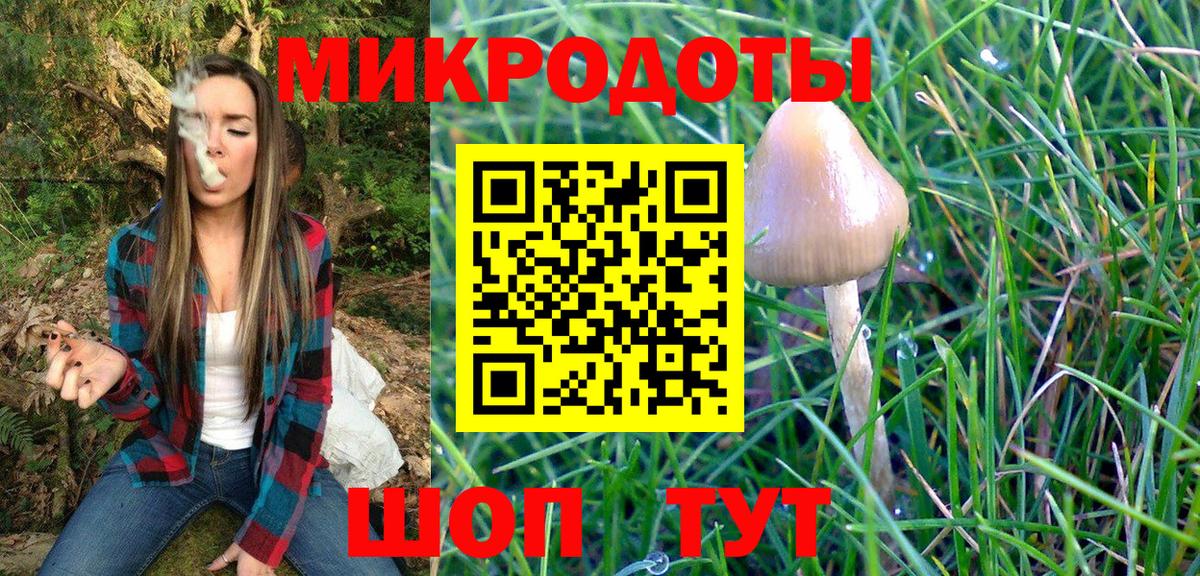 Тавда  закладка  Вход с VPN  Псилоцибиновые грибы прущие грибы  Псилоцибиновые грибы мицелий 