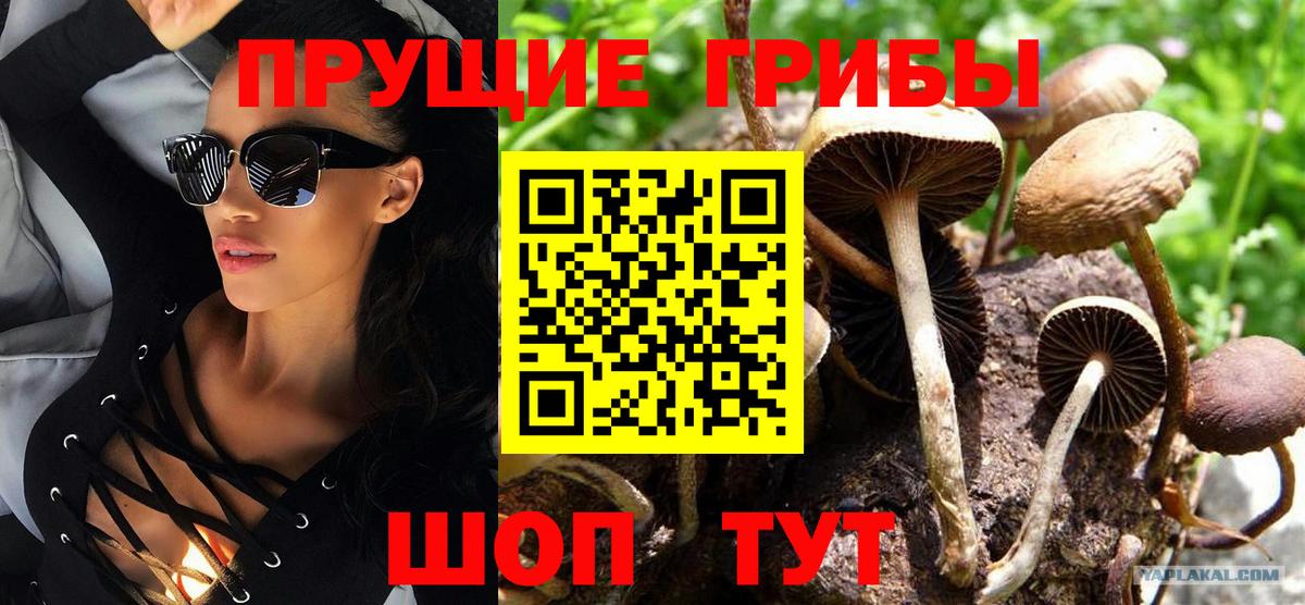 Галлюциногенные грибы MAGIC MUSHROOMS Тавда