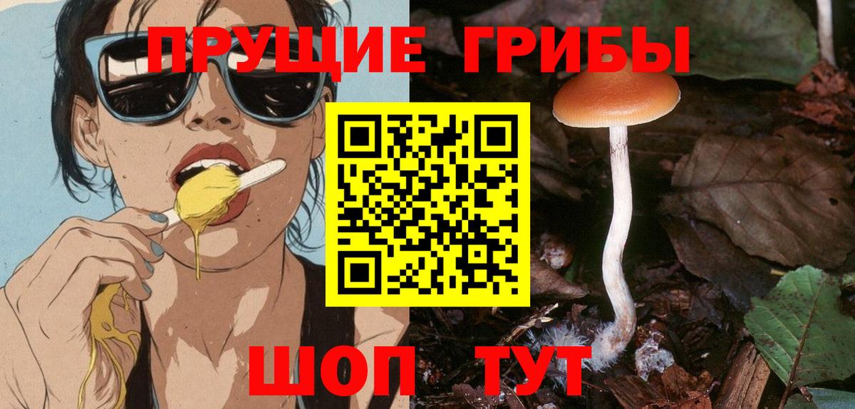 Псилоцибиновые грибы Cubensis  Галлюциногенные грибы Psilocybe  Вход с VPN  Тавда 