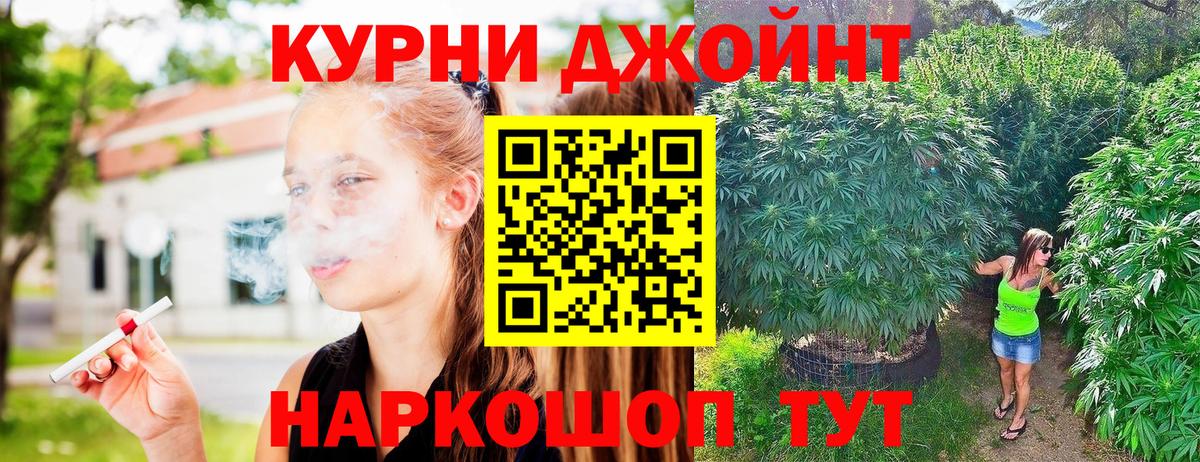 МАРИХУАНА планчик Тавда